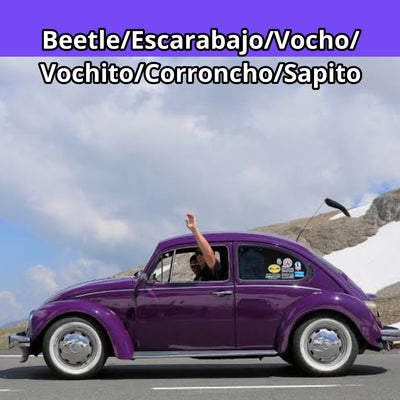 Volswagen beetle
