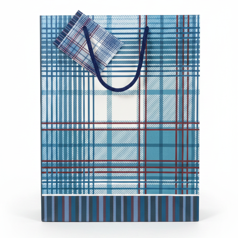 Bolsa azul tartan - foto profesional