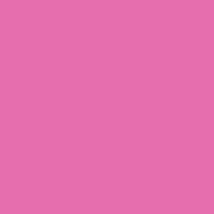 #048 Rose Purple Lee Filters 50x60cm