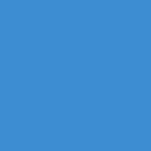 #079 Bray Blue Lee Filters 50x60cm