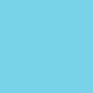 #196 True Blue Lee Filters 50x60cm