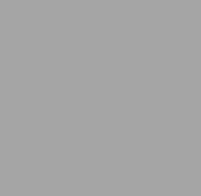 #209 .3 NEUTRAL DENSITY LEE FILTERS 50x60cm