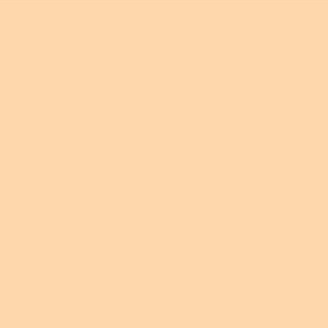 #009 PALE AMBER LEE FILTERS 50x60CM