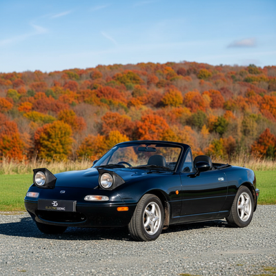 Conoce qué es y cómo reconocer un Roadster, en Zoladi