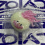 SQUISHY MONSTRITOS VARIADOS