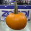 CALABAZA  REAL HALLOWEEN 20 CM