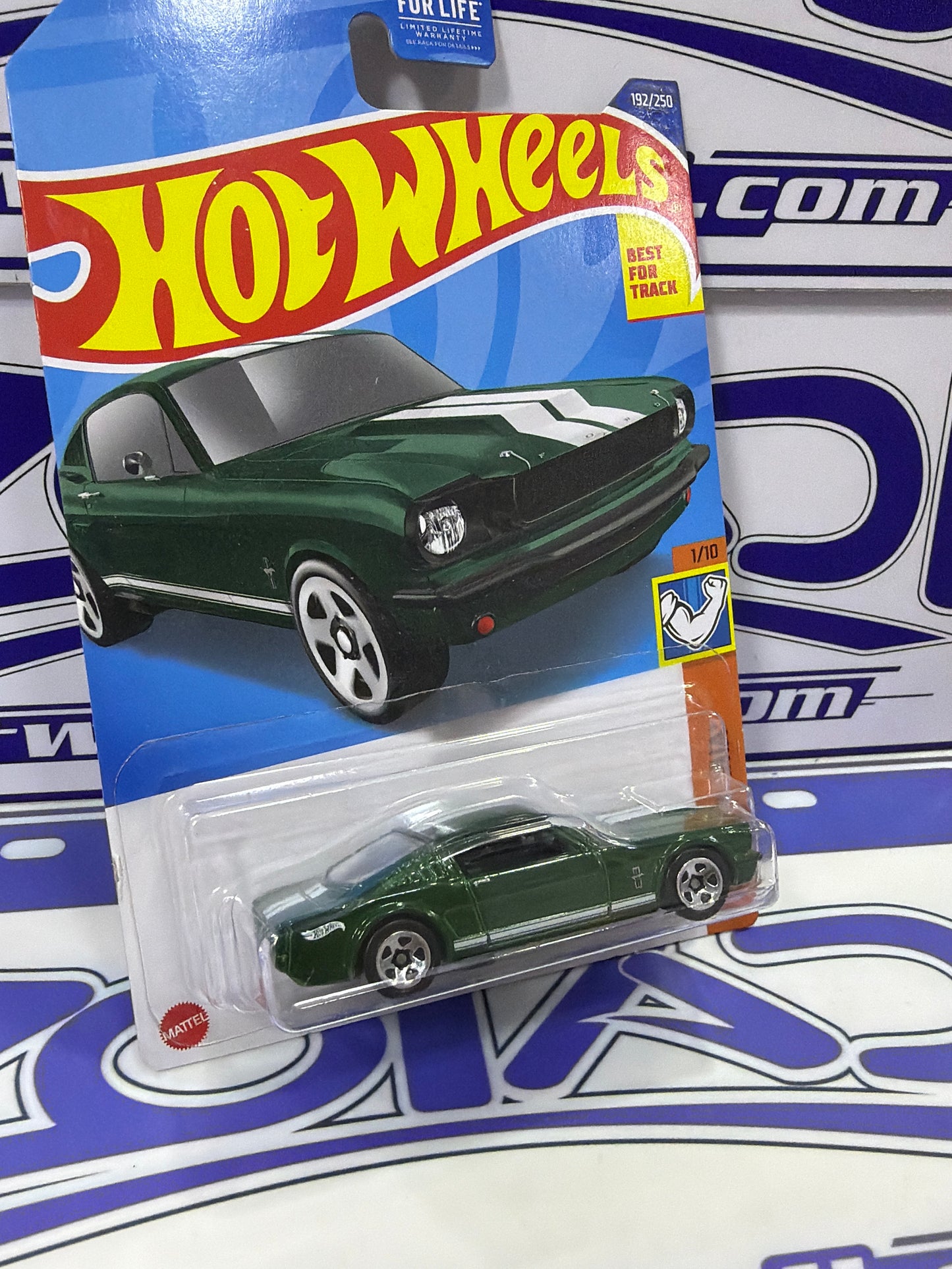 HCV37 65 MUSTANG