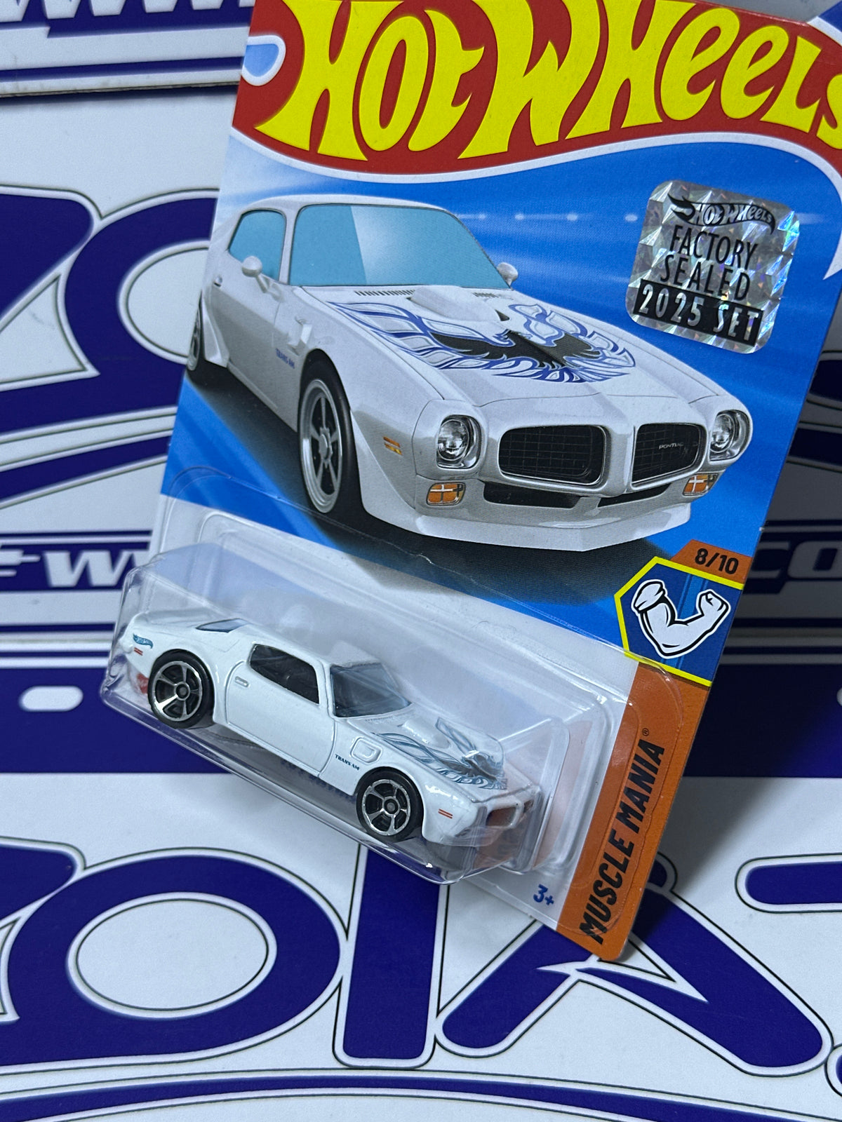 JBB41 73 PONTIAC FIREBIRD