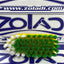 ESCOBILLA CON ASA PARA LAVAR