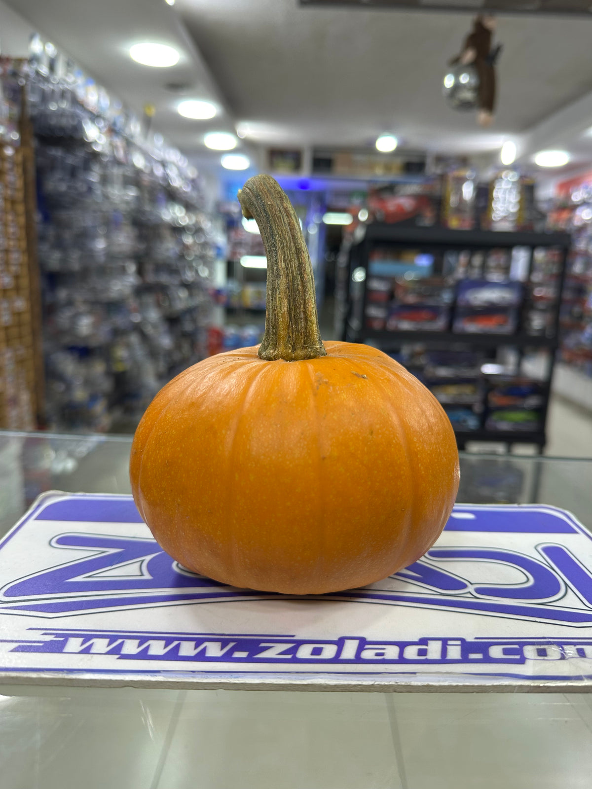 CALABAZA  REAL HALLOWEEN 20 CM