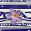 GANCHO FLOR VARIADOS