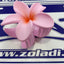 GANCHO FLOR VARIADOS