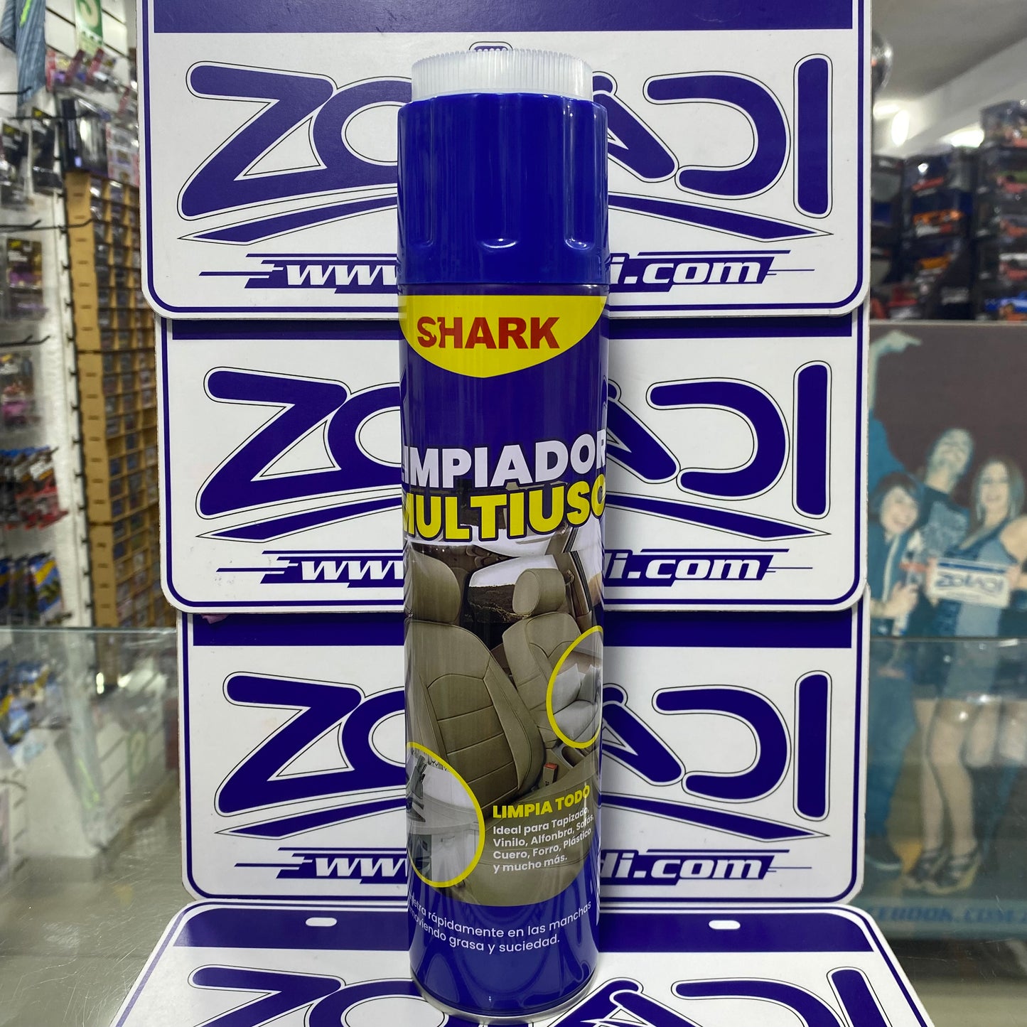 LIMPIA TODO EN SECO AEROSOL CON CEPILLO 650ml