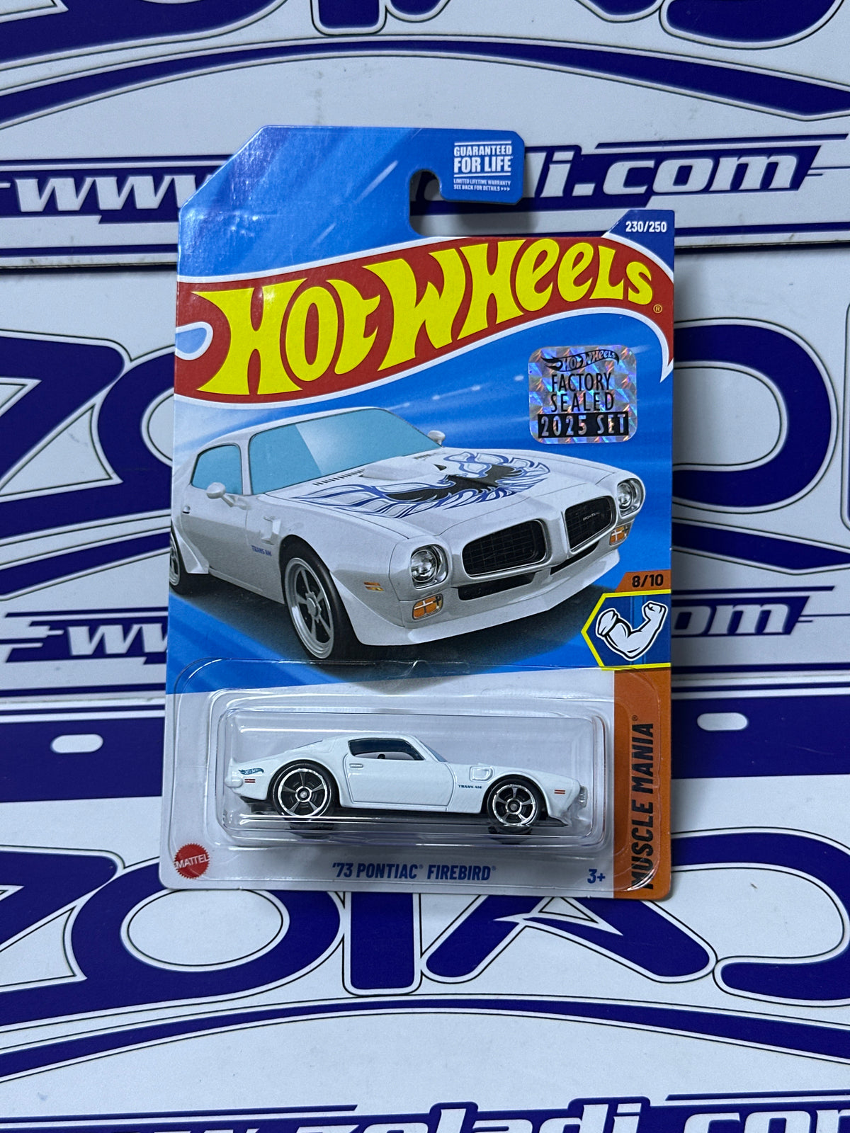 JBB41 73 PONTIAC FIREBIRD