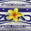 GANCHO FLOR VARIADOS