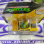 NINJA RIDERS RAPHAEL