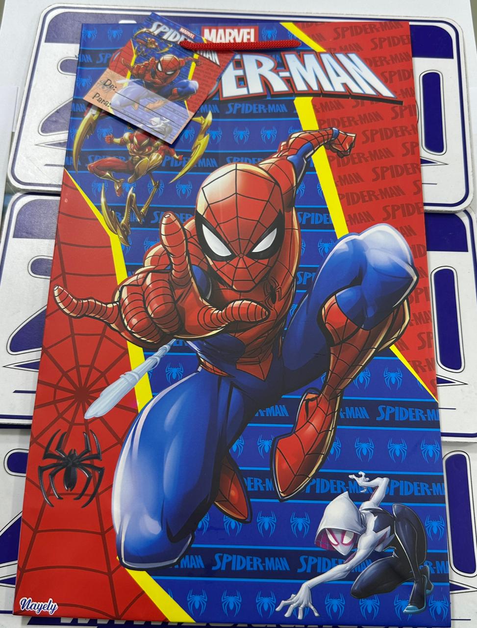 BOLSA DE REGALO DE DIBUJOS ANIMADO PARA NIÑO MEDIANO ALEATORIO