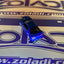 06 NISSAN SKYLINE GTR TOMICA FAST AND FURIOUS