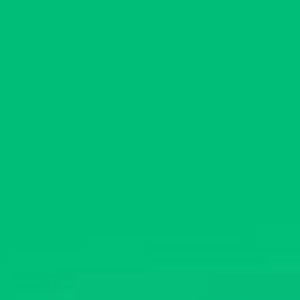 #735 Velvet Green Lee Filters 50x60cm