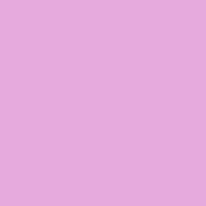 #170 Deep Lavender Lee Filters 50x60cm