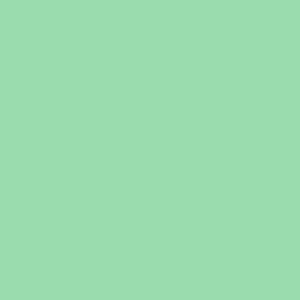 #219 Fluorescent Green Lee Filters 50x60cm