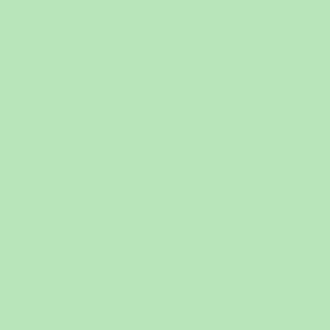 #242 Fluorescent 4300 Kelvin Filters 50x60cm