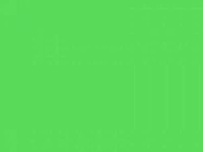 #089 MOSS GREEN LEE FILTERS 50x60CM