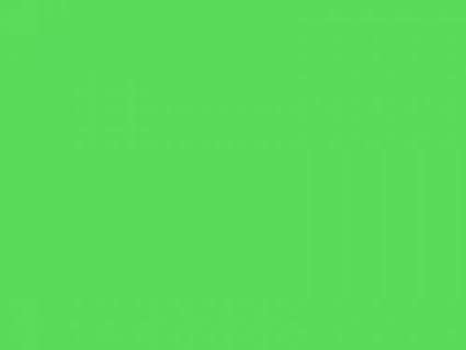 #089 MOSS GREEN LEE FILTERS 50x60CM