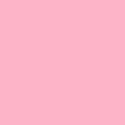 #110 MIDDLE ROSE LEE FILTERS 50X60CM