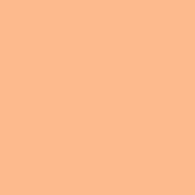 #147 APRICOT LEE FILTERS 50X60CM