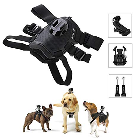 Fetch ( Dog Harness) Arnés para Perros