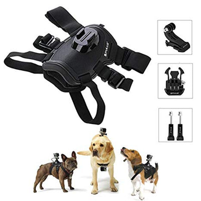 Fetch (Dog Harness) Dog Harness