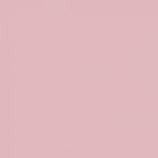 #186 COSMETIC SILVER ROSE LEE FILTERS 50X60CM