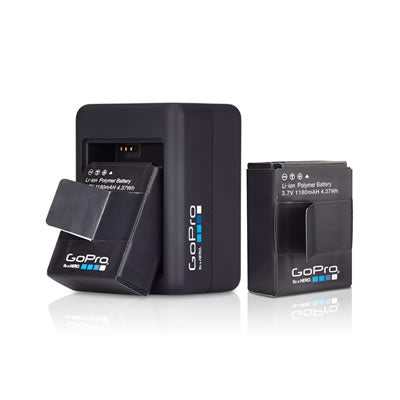 Dual Battery Charger