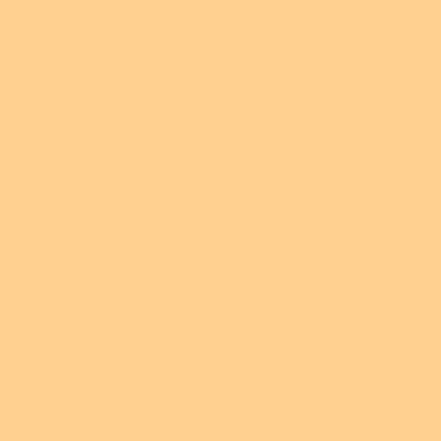 #013 STRAW TINT  LEE FILTERS 50x60CM