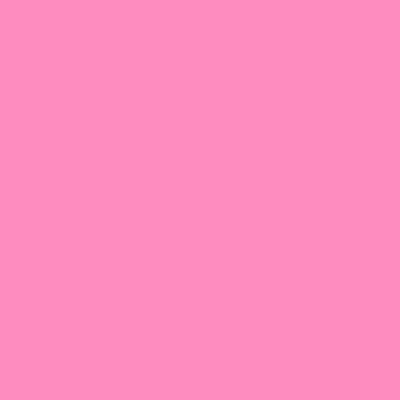 #111 DARK PINK LEE FILTERS 50X60CM