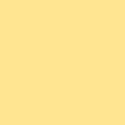 #212 9 L.C.T YELLOW LEE FILTERS 50x60cm