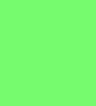 #122 Fern Green Lee Filters 50x60cm