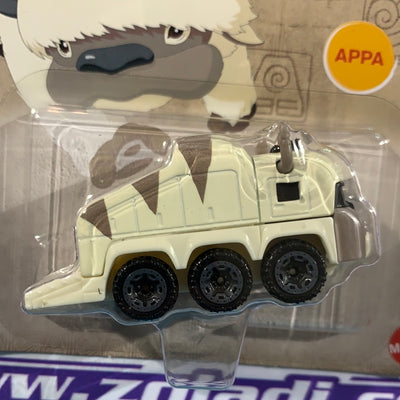 HNP25 Appa Avatar
