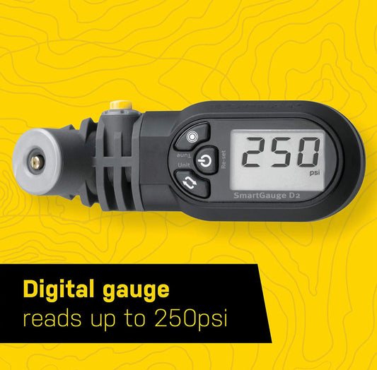 Smart Gauge D2